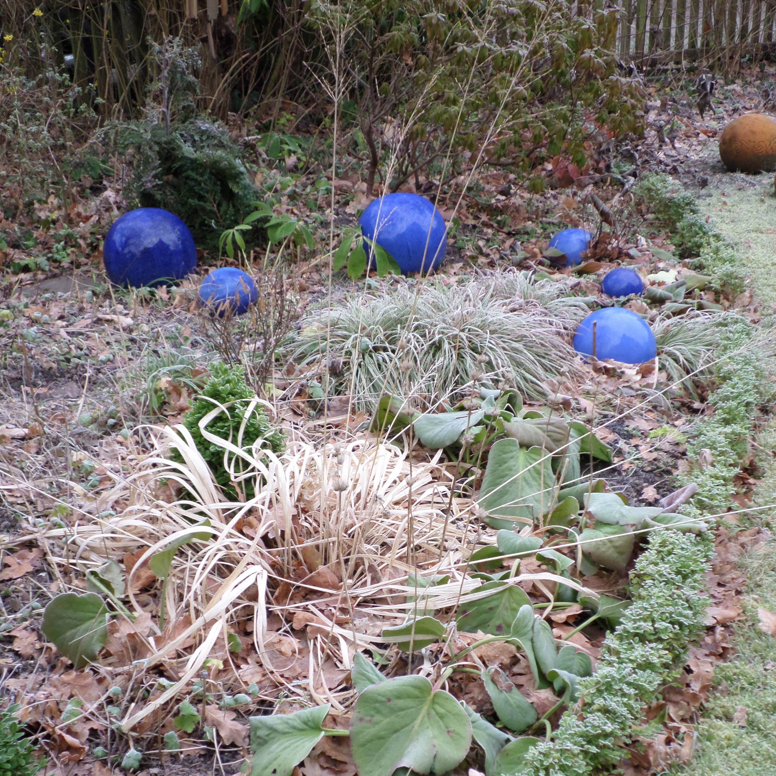 Pfeifengras im Winter